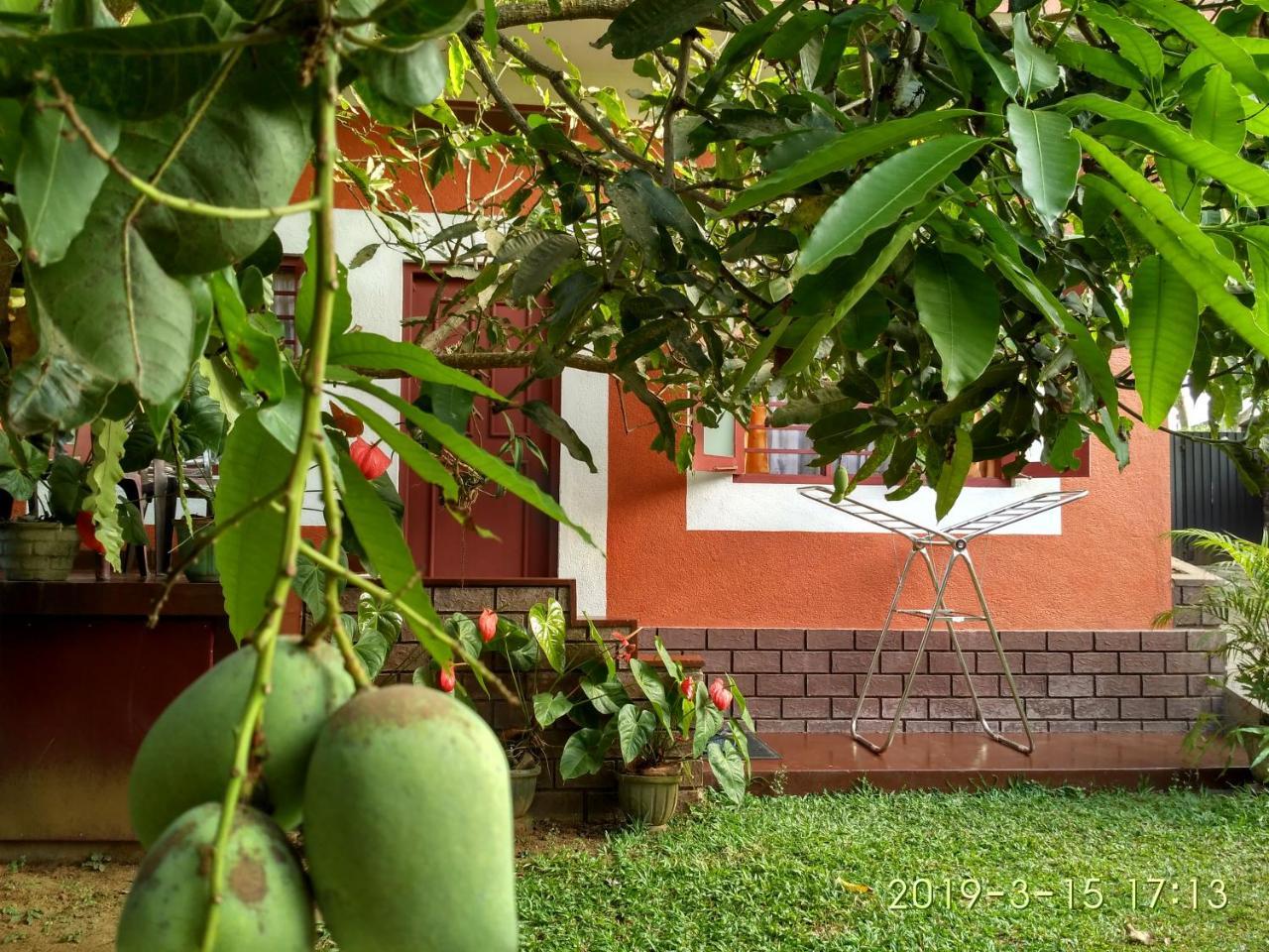 Nilas Guesthouse Hikkaduwa Exterior foto